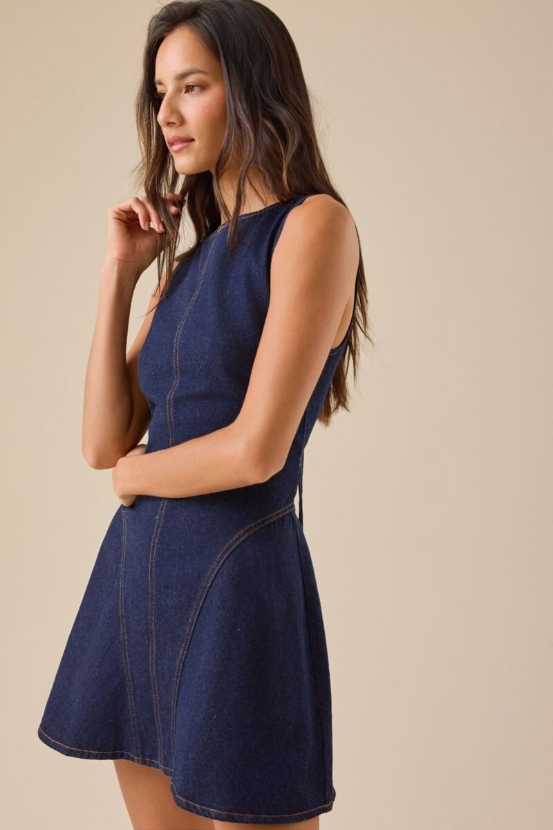 Winona Denim Mini Dress